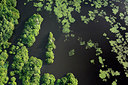 BUITEN BEELD Foto: 268642