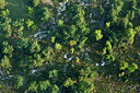 BUITEN BEELD Foto: 268658