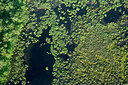 BUITEN BEELD Foto: 268670