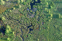 BUITEN BEELD Foto: 268672