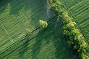 BUITEN BEELD Foto: 268680