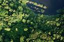 BUITEN BEELD Foto: 268695