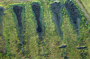 BUITEN BEELD Foto: 268699