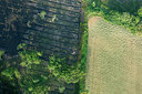 BUITEN BEELD Foto: 268702
