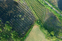 BUITEN BEELD Foto: 268703