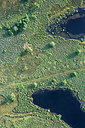BUITEN BEELD Foto: 268707