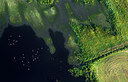BUITEN BEELD Foto: 268745