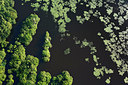 BUITEN BEELD Foto: 268754