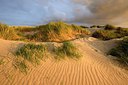 BUITEN BEELD Foto: 268893