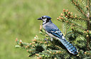 BUITEN BEELD Foto: 268924