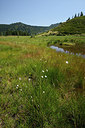 BUITEN BEELD Foto: 268991