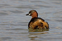 BUITEN BEELD Foto: 26011