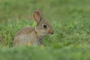 BUITEN BEELD Foto: 26048