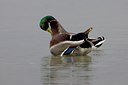 BUITEN BEELD Foto: 26128
