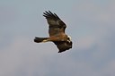 BUITEN BEELD Foto: 26145