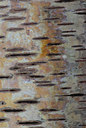 BUITEN BEELD Foto: 26285