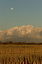 BUITEN BEELD Foto: 26321