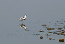 BUITEN BEELD Foto: 26327