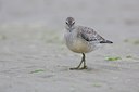 BUITEN BEELD Foto: 26353