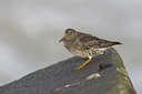BUITEN BEELD Foto: 26375