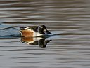 BUITEN BEELD Foto: 26396