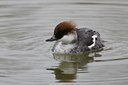 BUITEN BEELD Foto: 26397