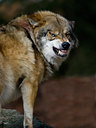 BUITEN BEELD Foto: 26444