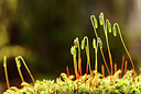 BUITEN BEELD Foto: 26482