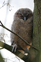 BUITEN BEELD Foto: 26555