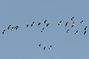 BUITEN BEELD Foto: 26576