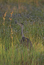 BUITEN BEELD Foto: 26591