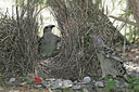 BUITEN BEELD Foto: 26595