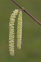 BUITEN BEELD Foto: 26694