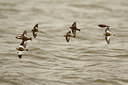 BUITEN BEELD Foto: 26726