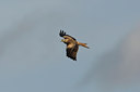 BUITEN BEELD Foto: 26732