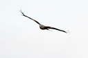 BUITEN BEELD Foto: 26739
