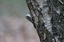 BUITEN BEELD Foto: 26768