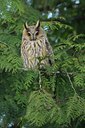 BUITEN BEELD Foto: 26833