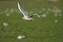 BUITEN BEELD Foto: 26843