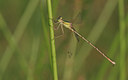 BUITEN BEELD Foto: 26857
