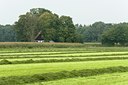 BUITEN BEELD Foto: 26879