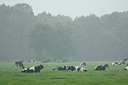 BUITEN BEELD Foto: 26894