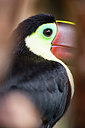 BUITEN BEELD Foto: 269020