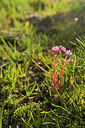 BUITEN BEELD Foto: 269060