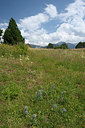 BUITEN BEELD Foto: 269064