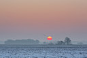 BUITEN BEELD Foto: 269090