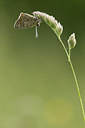 BUITEN BEELD Foto: 269220