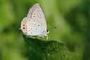 BUITEN BEELD Foto: 269228