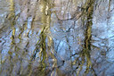 BUITEN BEELD Foto: 269269