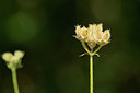 BUITEN BEELD Foto: 269292